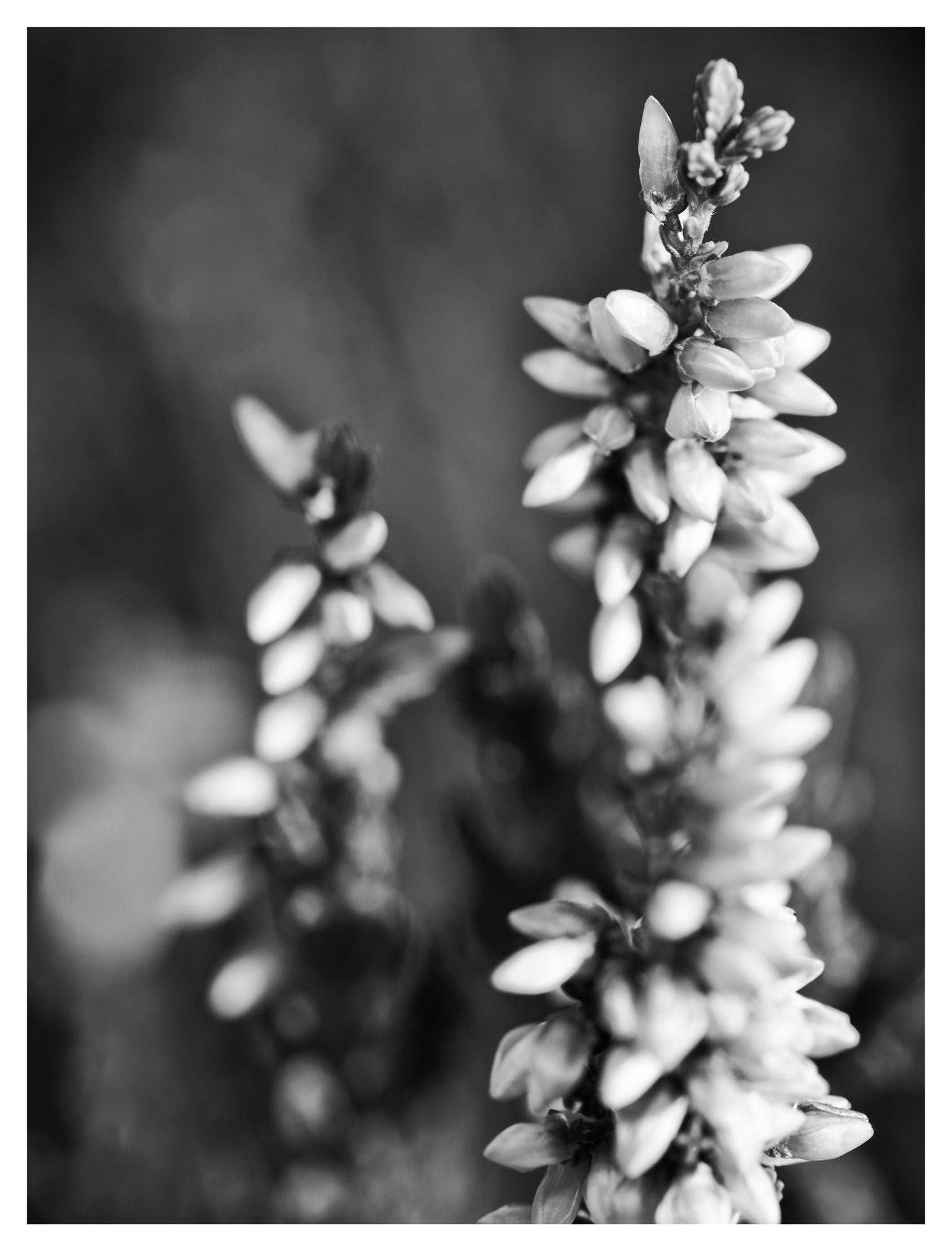 nature photo prints for sale 1 2 | Personal