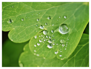 nature photo prints for sale 3 2 | Prints for sale