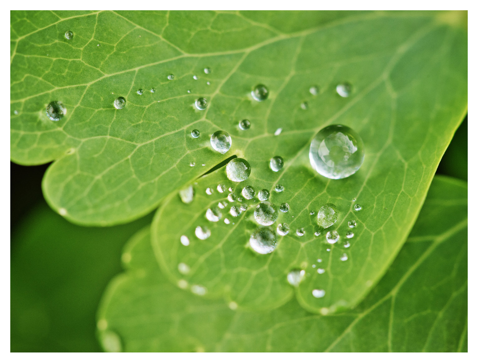 nature photo prints for sale 3 3 | Personal